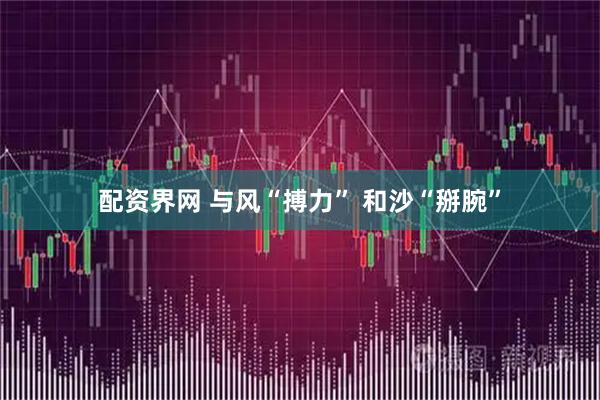 配资界网 与风“搏力”&#32;和沙“掰腕”