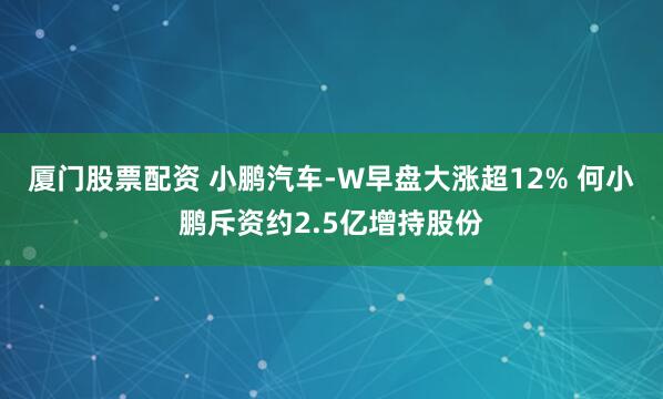 厦门股票配资 小鹏汽车-W早盘大涨超12% 何小鹏斥资约2.5亿增持股份